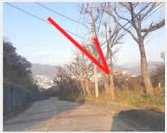  2023Ÿ��109911 �λ� ���屺 ������ �޻긮 ��24-2      ����(�Ӿ�)���