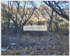  2023Ÿ��109911 �λ� ���屺 ������ �޻긮 ��24-2      ����(�Ӿ�)���