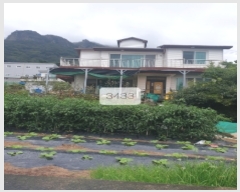  2023Ÿ3433 λ 屺  и 531-21      ð