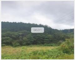  2023Ÿ3631 λ 屺 ö  130-2      (Ӿ)