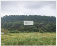  2023Ÿ3631 λ 屺 ö  130-2      (Ӿ)
