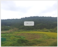  2023Ÿ3631 λ 屺 ö  130-2      (Ӿ)