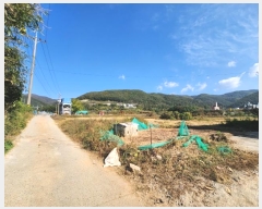  2023Ÿ��4399 �λ� ���屺 ������ ����� 590      ����(��)���