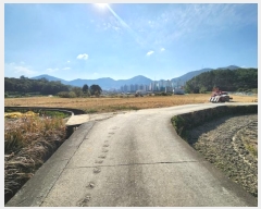  2023Ÿ��4399 �λ� ���屺 ������ ����� 590      ����(��)���