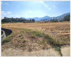  2023Ÿ��4399 �λ� ���屺 ������ ����� 590      ����(��)���