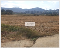  2023Ÿ��4399 �λ� ���屺 ������ ����� 590      ����(��)���