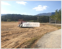  2023Ÿ��4399 �λ� ���屺 ������ ����� 590      ����(��)���