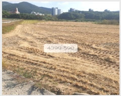  2023Ÿ��4399 �λ� ���屺 ������ ����� 590      ����(��)���