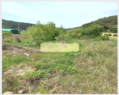  2023Ÿ��103296 �λ� ���屺 ö���� ������ 329-11      ����(��)���