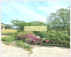  2023Ÿ��103296 �λ� ���屺 ö���� ������ 329-11      ����(��)���