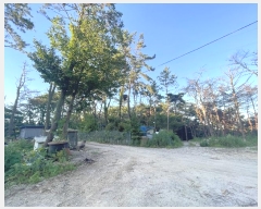  2023Ÿ��106417 �λ� ���屺 ����� �ݷ渮 ��26      ����(�Ӿ�)���