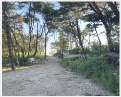  2023Ÿ��106417 �λ� ���屺 ����� �ݷ渮 ��26      ����(�Ӿ�)���