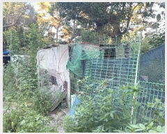  2023Ÿ��106417 �λ� ���屺 ����� �ݷ渮 ��26      ����(�Ӿ�)���