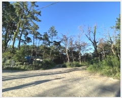  2023Ÿ��106417 �λ� ���屺 ����� �ݷ渮 ��26      ����(�Ӿ�)���