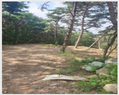  2023Ÿ��106417 �λ� ���屺 ����� �ݷ渮 ��26      ����(�Ӿ�)���