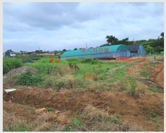  2023Ÿ��2263  �Ӿ߰��