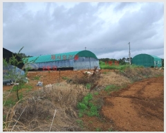  2023Ÿ��2263  �Ӿ߰��