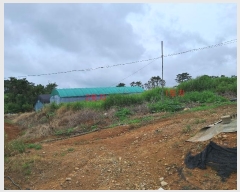  2023Ÿ��2263  �Ӿ߰��