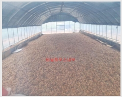  2023Ÿ��2263  �Ӿ߰��