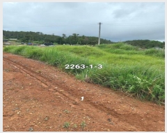  2023Ÿ��2263  �Ӿ߰��