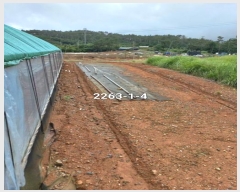  2023Ÿ��2263  �Ӿ߰��