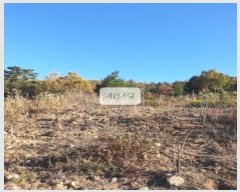  2023Ÿ4849 λ 屺   308-1      ()