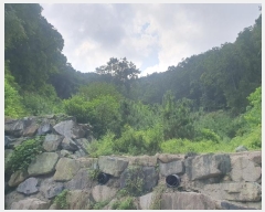  2023Ÿ3167 λ 屺   26      (Ӿ)