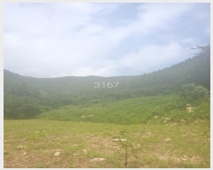 2023Ÿ3167 λ 屺   26      (Ӿ)