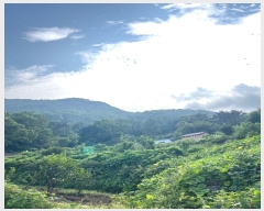  2023Ÿ��5270  ���(�󰡽ü�)���