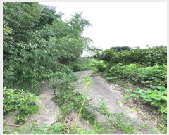  2023Ÿ��5270  ���(�󰡽ü�)���