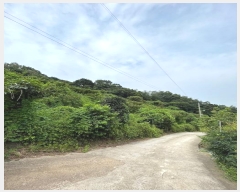  2023Ÿ��5270  ���(�󰡽ü�)���