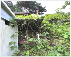  2023Ÿ��5270  ���(�󰡽ü�)���