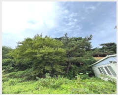  2023Ÿ��5270  ���(�󰡽ü�)���