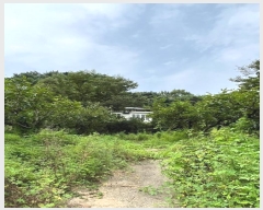  2023Ÿ��5270  ���(�󰡽ü�)���