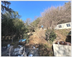  2023Ÿ��114228 �泲 â���� ���ر� ���ֵ� 540      ���ð��