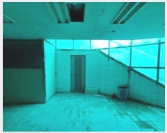  2023Ÿ5966 泲 ؽ Ȱõ267 13, 131ȣ (浿,Ÿ)     ,繫ǰ