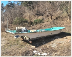  2023Ÿ��113553  ���ڰ��