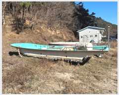  2023Ÿ��113553  ���ڰ��