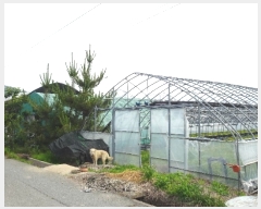  2023Ÿ��3007 �泲 ���ؽ� �뵿�� ������ 406-3      ����(��)���