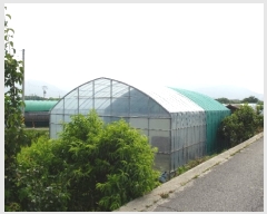  2023Ÿ��3007 �泲 ���ؽ� �뵿�� ������ 406-3      ����(��)���