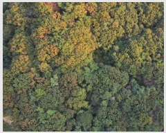  2023Ÿ��6532 �泲 ���ؽ� �󵿸� ���渮 ��87      ����(�Ӿ�)���