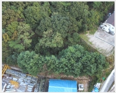  2023Ÿ��6532 �泲 ���ؽ� �󵿸� ���渮 ��87      ����(�Ӿ�)���