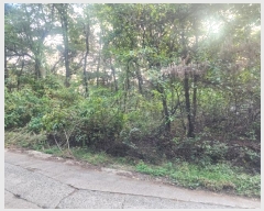  2023Ÿ��6532 �泲 ���ؽ� �󵿸� ���渮 ��87      ����(�Ӿ�)���