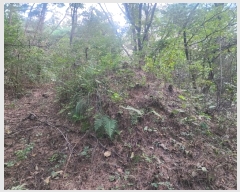  2023Ÿ��6532 �泲 ���ؽ� �󵿸� ���渮 ��87      ����(�Ӿ�)���