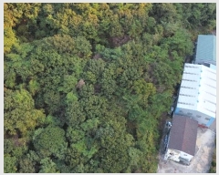  2023Ÿ��6532 �泲 ���ؽ� �󵿸� ���渮 ��87      ����(�Ӿ�)���