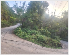  2023Ÿ��6532 �泲 ���ؽ� �󵿸� ���渮 ��87      ����(�Ӿ�)���