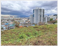  2023Ÿ��7320 �泲 ���ؽ� ������ ������ 224-1      ����(��1)���