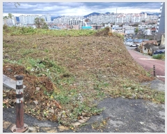  2023Ÿ��7320 �泲 ���ؽ� ������ ������ 224-1      ����(��1)���