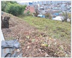  2023Ÿ��7320 �泲 ���ؽ� ������ ������ 224-1      ����(��1)���