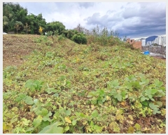  2023Ÿ��7320 �泲 ���ؽ� ������ ������ 224-1      ����(��1)���